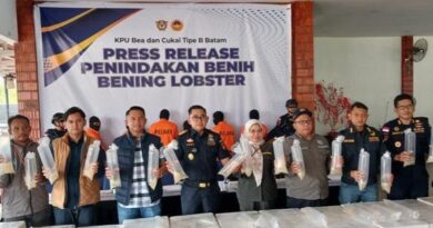 Bea Cukai Batam Gagalkan Penyeludupan Benih Lobster Senilai Rp 26,9 Milyar Berpotensi Rugikan Negara.